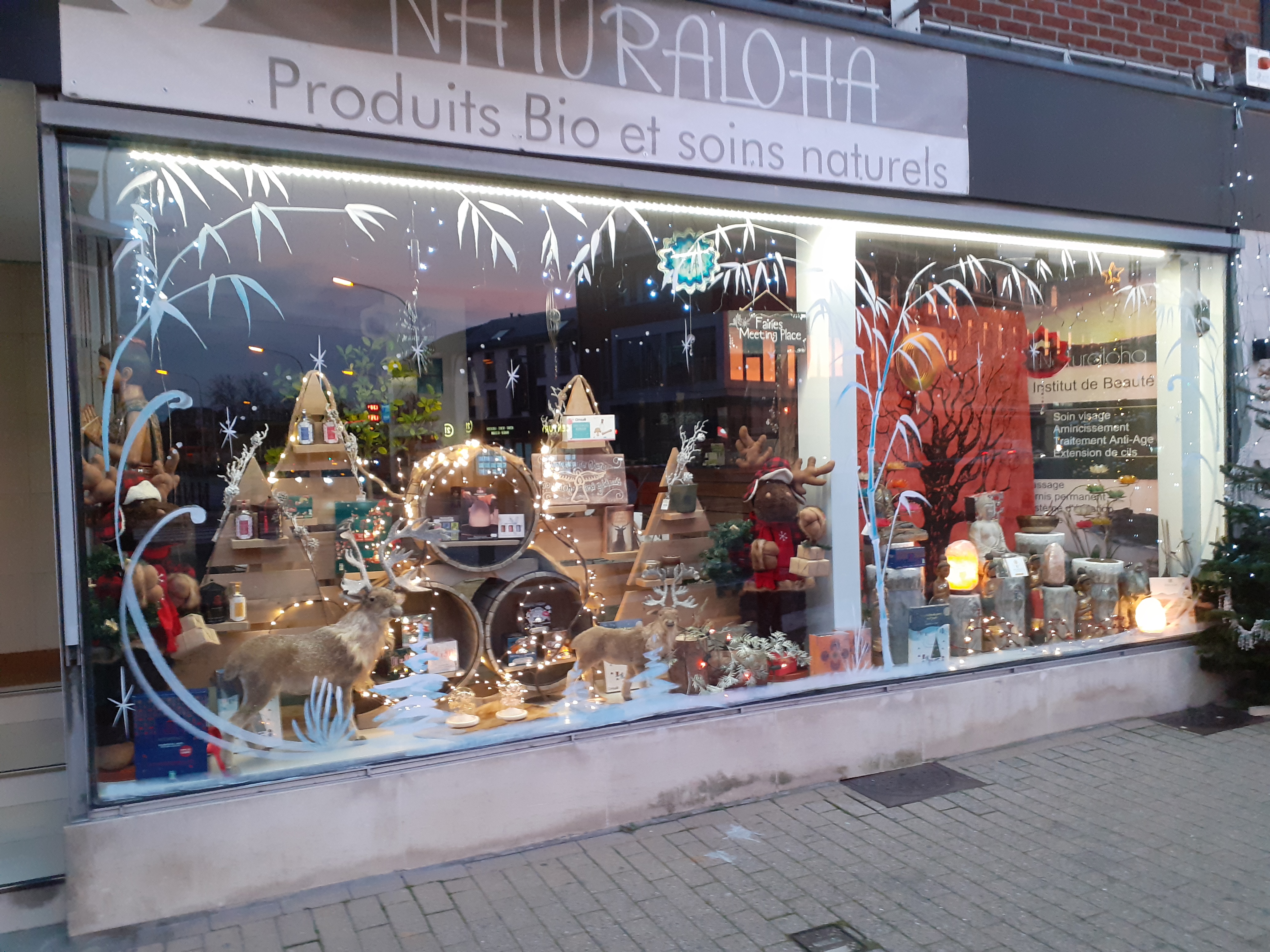 Vitrines fêtes de fin d'année