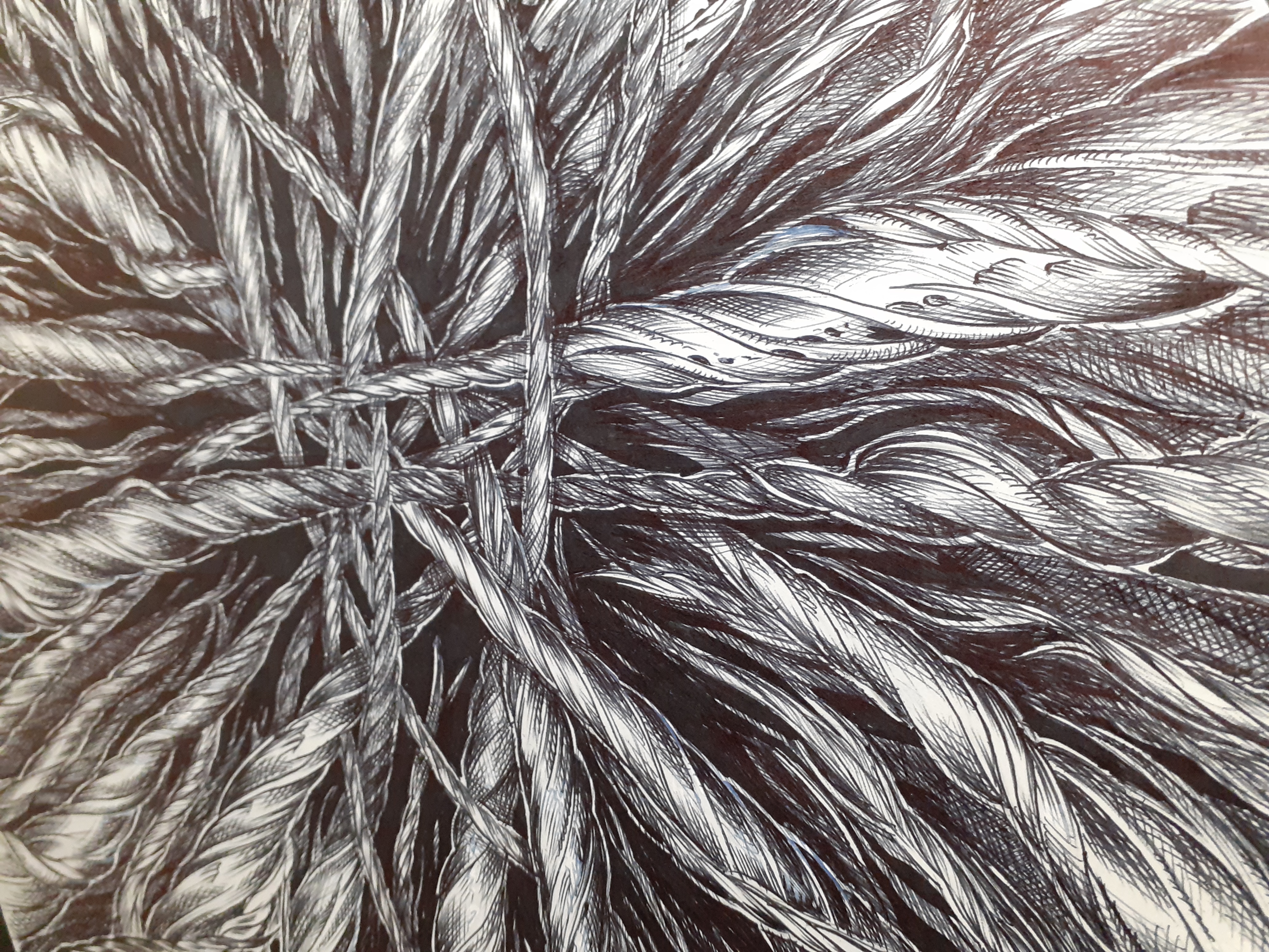 Dessin réalisé au  stylo bille sur un A3