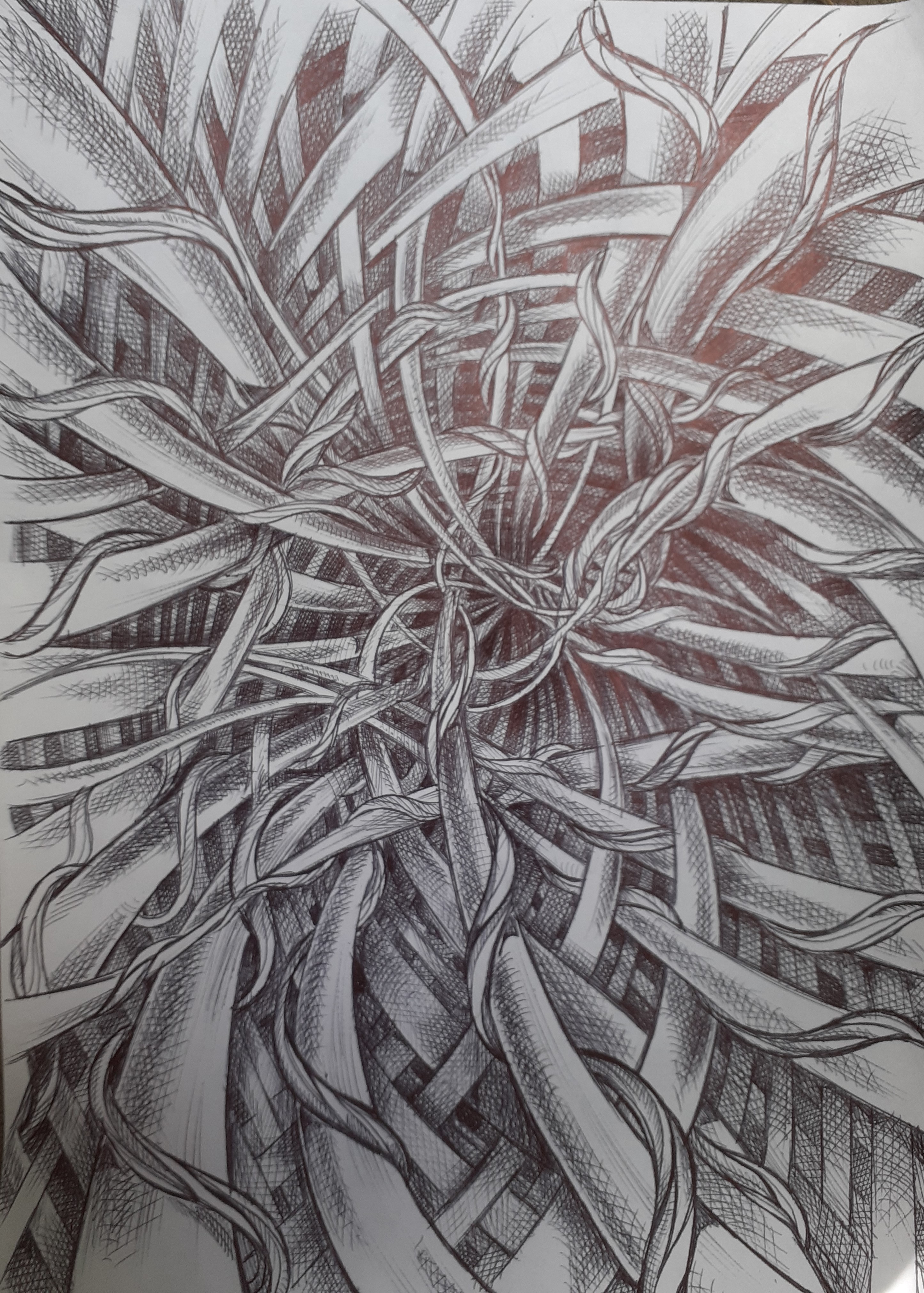 Dessin réalisé au  stylo bille sur un A3